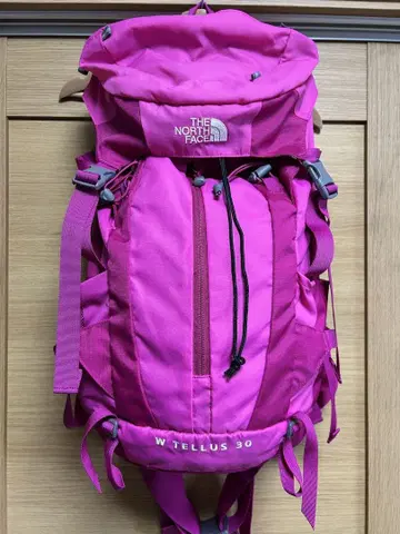 THE NORTH FACE W TELLUS 30 핑크 백팩