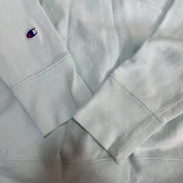 챔피온 REVERSE WEAVE 민트 그린 후드 부착 후드티