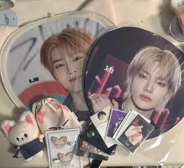 스키즈 아이엔 straykids
