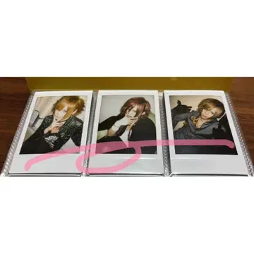 R 지정 마모 폴라로이드 9