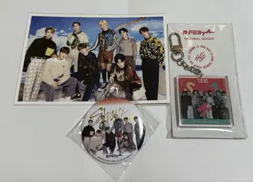 straykids 스키즈 skz D FESTA 한정 세트