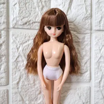 리카짱 캐슬 오타노시미 인형 키라짱 웨이브 MIX 헤어 컬러