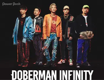 DOBERMAN INFINITY 타월 10장