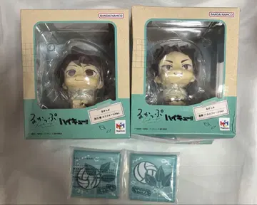 룩업 오가와 이와이