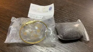 정품 가챠 우리 아이의 캣타마 C-pla 한정판 모듬 녹 고양이