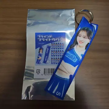 요코하마 DeNA 베이스타즈 Diana 플라이트 택 Sae 씨