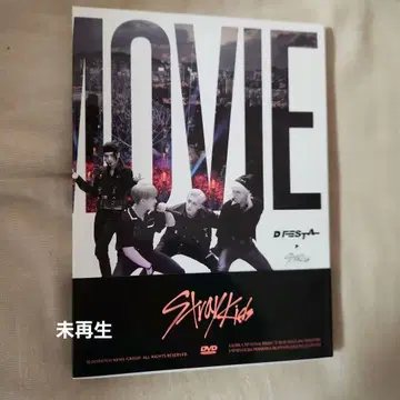 dfesta straykids 스키즈 DVD