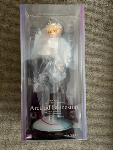 애니플렉스 알쿠에이드 피규어 월희 FGO 미개봉 알터