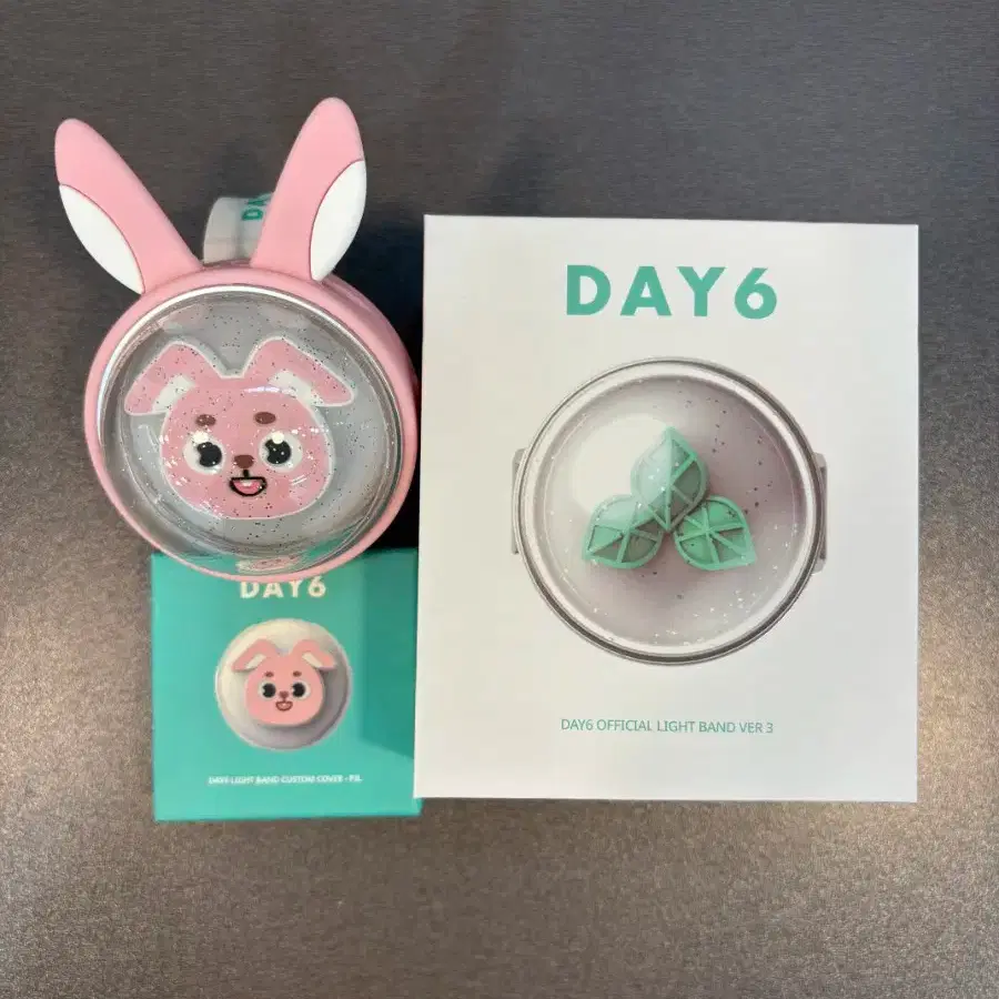 DAY6 ヨンケイ LIGHT BAND RING COVER 2025 DAY6 Young K - W