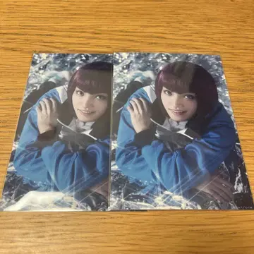 테니뮤  향일악도