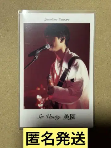 Sir Vanity 앨범 Timeless 폴라로이드 카드 매실 원