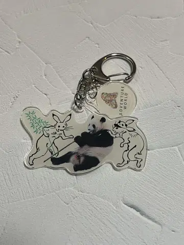 어드벤처 월드 조수희 시크릿