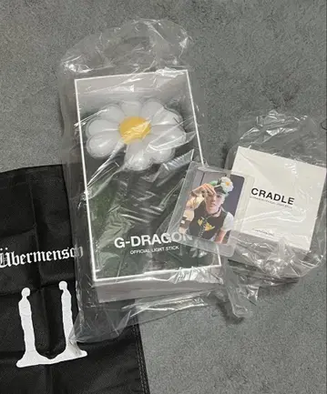 미개봉 새상품 G-DRAGON 공식 응원봉 클레이 화분 세트 카드 포함