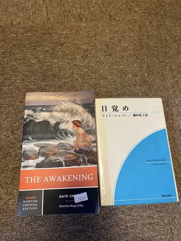 The Awakening 케이트 쇼팽 노턴 비평판