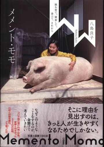 야시마 요시코 메멘토 모모