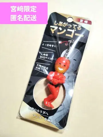 신상품 미사용 미야자키 스트랩 망고 보디빌더