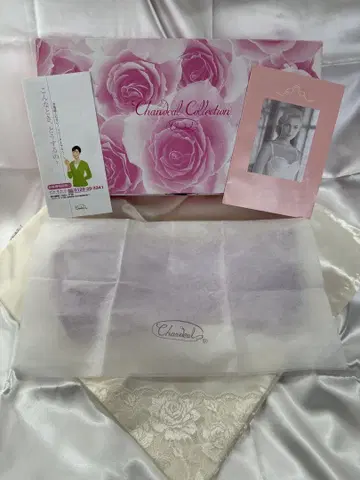 샹들리 쓰리 인 원 C65