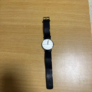 SKAGEN 손목시계 SKW6353 스카겐
