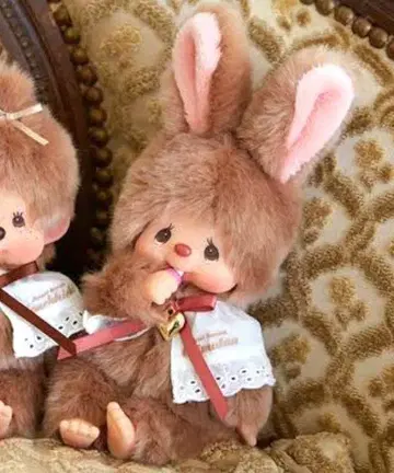 몬치치 스위트 브라운 치무탄