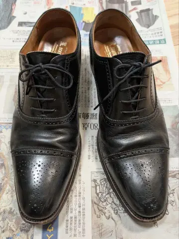 스카치 그레인 HG-9040 세미 브로그 26.0