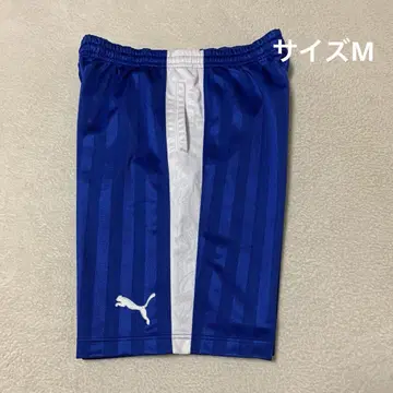 푸마 하프 팬츠 숏 팬츠 광택 블루 자수 로고 M