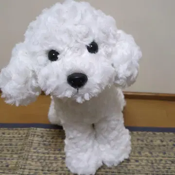 타치이누 봉제 인형