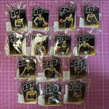 우쓰노미야 브렉스 파이널 가챠 전 선수 컴프 14종 아크릴 키링