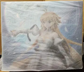 FGO 아키타입 어스 월히메 아루쿠이드 피규어 혜택 포함