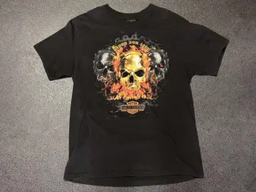 가격 인하 HARLEY DAVIDSON 블랙 티셔츠 사이즈 L