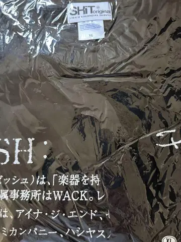 BISH DICTIONARY 롱 티셔츠 XL