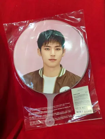 세븐틴 2024 CARAT LAND MINGYU IMAGE PICKET