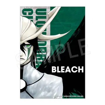 츄가이 BLEACH B3 천 포스터 우루키오라 시퍼