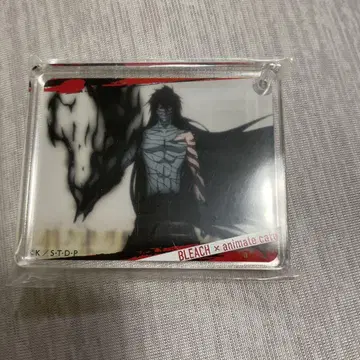 BLEACH 쿠로사키 이치고 코로타
