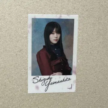 사쿠라자카46 랜덤 클리어 스티커 야마시타 시즈키