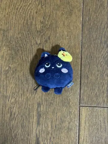 RIIZE 원빈 토냥덕