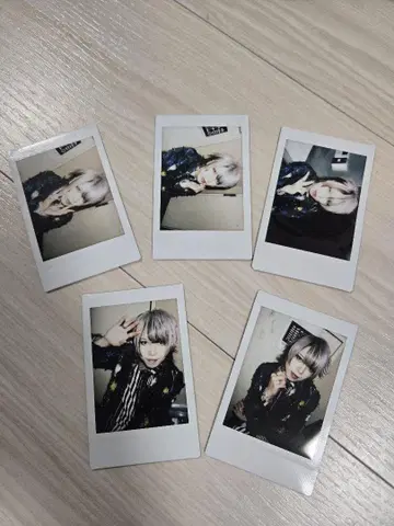 Rides In ReVellion/MAQIA TaJI 폴라로이드
