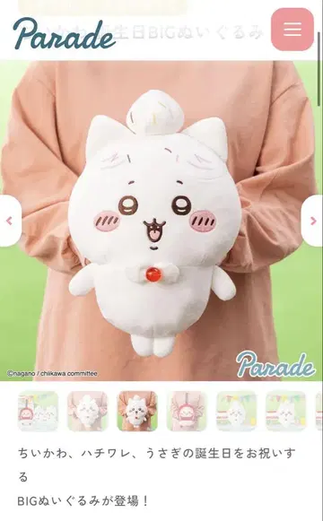치이카와 (먼작귀) BIG 봉제 인형 하치와레 생일