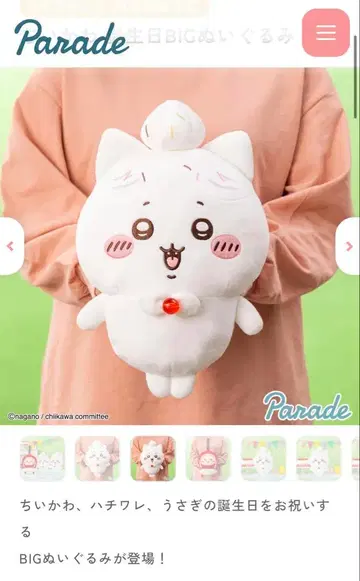 치이카와 (먼작귀) BIG 봉제 인형 하치와레 생일