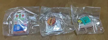 히라쓰카 가챠