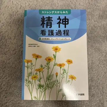 강점에서 본 정신 간호 과정 + 전체 관련 도표, 강점 매핑 시트