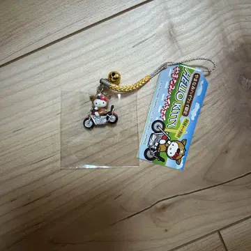 지역 키티