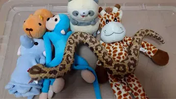 동물 봉제 인형 6개 묶음 판매
