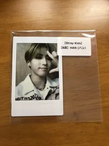 Stray Kids 타워 레코드 B상 폴라로이드 한 장