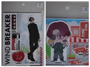 WIND BREAKER Glasses 소방슌히 2개 세트