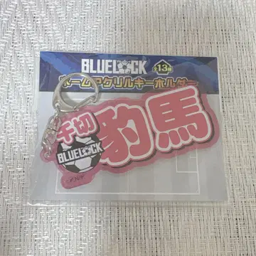 블루 록 네임 아크링 키링 치키리