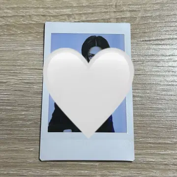 하기하라 리쿠 야기 유세이 폴라로이드