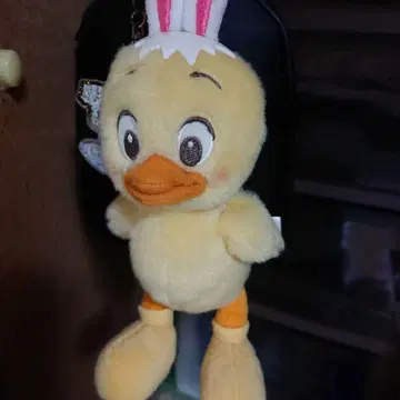 우사피요 디즈니씨