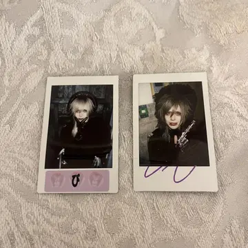 Royz 기나 폴라로이드
