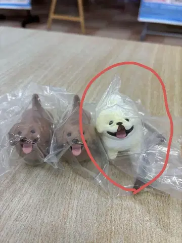 좋은 막대기를 겟한 개 3 세트