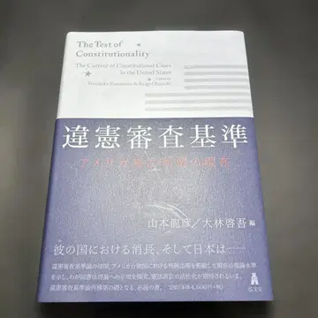위헌 심사 기준 미국 헌법 판례의 현황